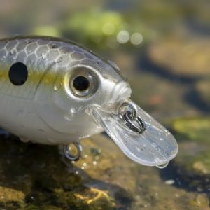 Isca Artificial Marine Sports Beat Crank 45 - 4,5cm / 6,3g Cor 11